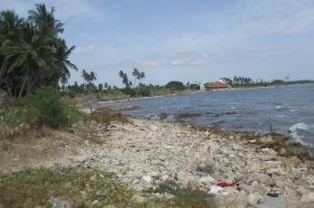 Kankesanthurai or KKS, is a town with a harbour, of Jaffna District, Rights AAN 